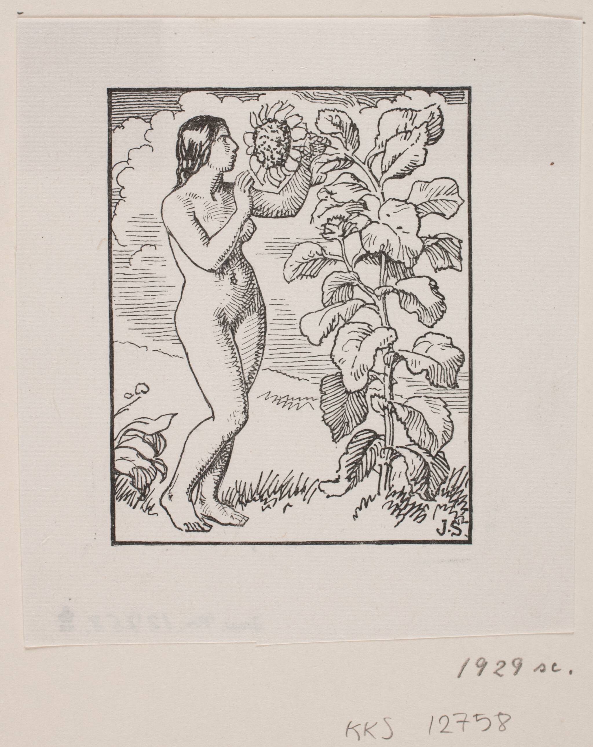 Herman Rudolf Müller, 1829, a woodcut of a nude figure beside a sunflower